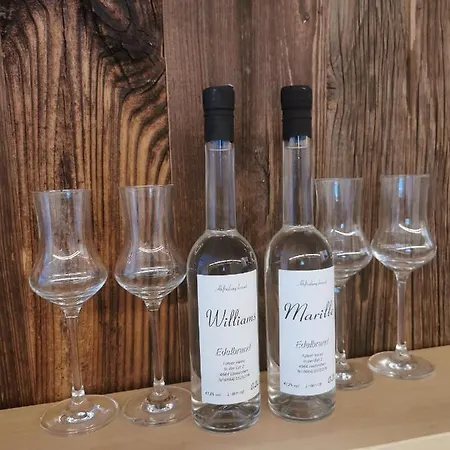 Panorama Edelweiss Apartment Gosau