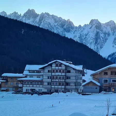 Panorama Edelweiss Gosau