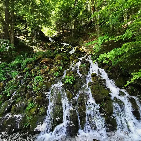 דירה Panorama Edelweiss גוסאו