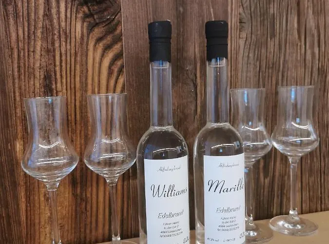 Panorama Edelweiss Διαμέρισμα Gosau