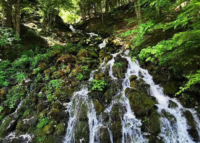 Διαμέρισμα Panorama Edelweiss Gosau